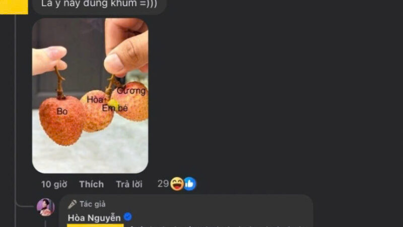 Bị netizen “bóc” chuyện có thêm em bé, Hòa Minzy phản ứng vội vàng khiến CDM càng chắc nịch: “Chị càng giải thích thì càng bị nghi ngờ hơn thui”